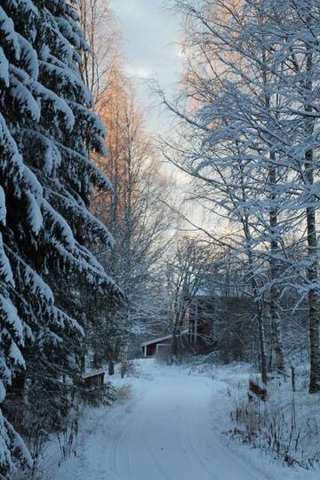 Фото номера Дом с 4 спальнями Шале Lamminkangas Cottage г. Kalmari 20