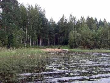 Фото номера Дом для отпуска Дома для отпуска Holiday Home Sammallehto г. Kalmari 12